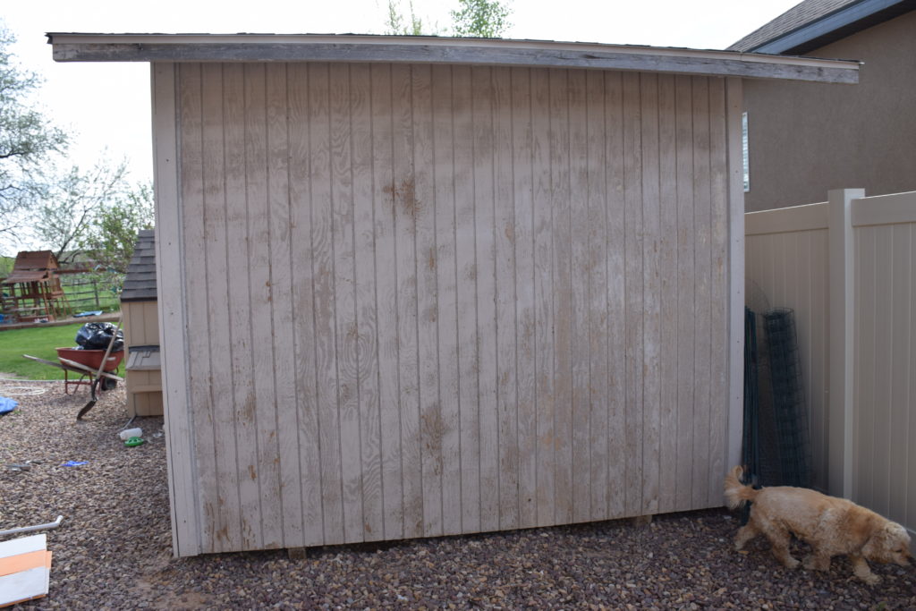 Picture of shed before painting