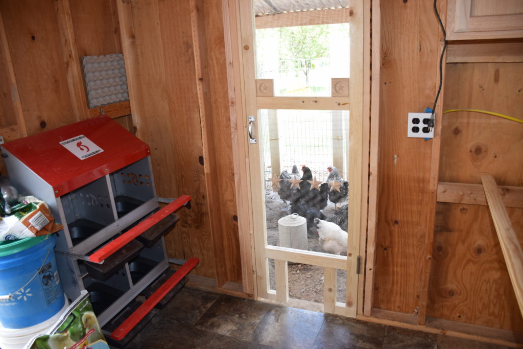 Chickens outside the screen door