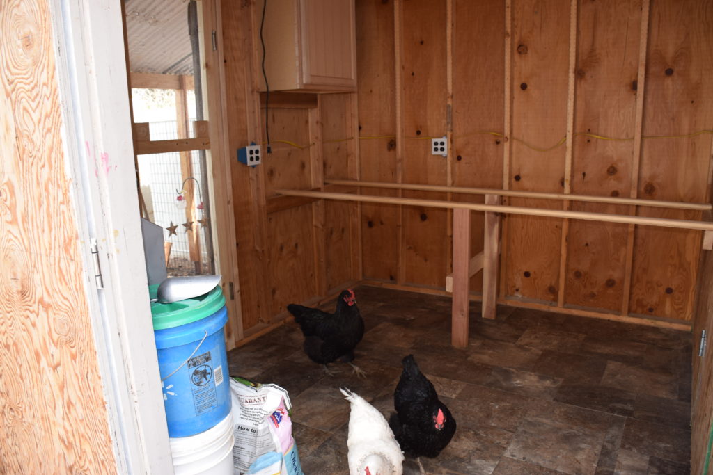 Chickens inside coop on vinyl floor