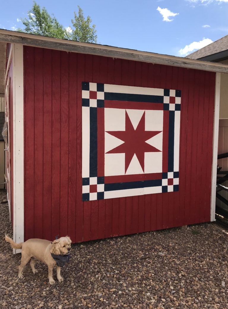 Barn Quilt and Shed Makeover