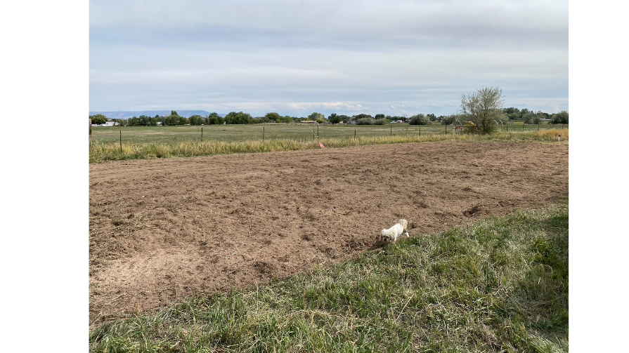 Field that has been plowed