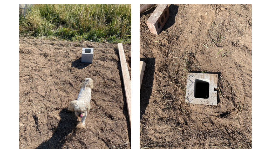 Cement block buried in the ground