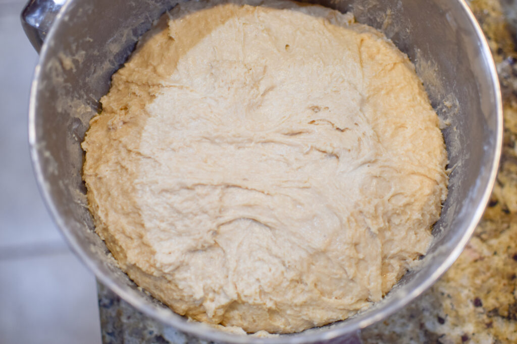 Dough after all ingredients have been added but hasn't risen yet