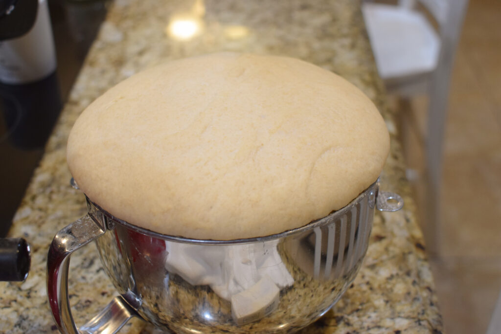 Whole wheat cinnamon roll dough after it has risen