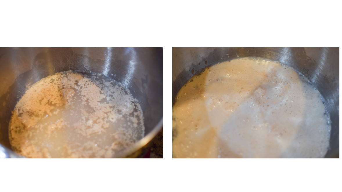 Yeast, sugar and warm water in a bowl