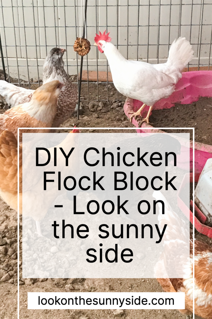 Chickens pecking at a hanging flock block