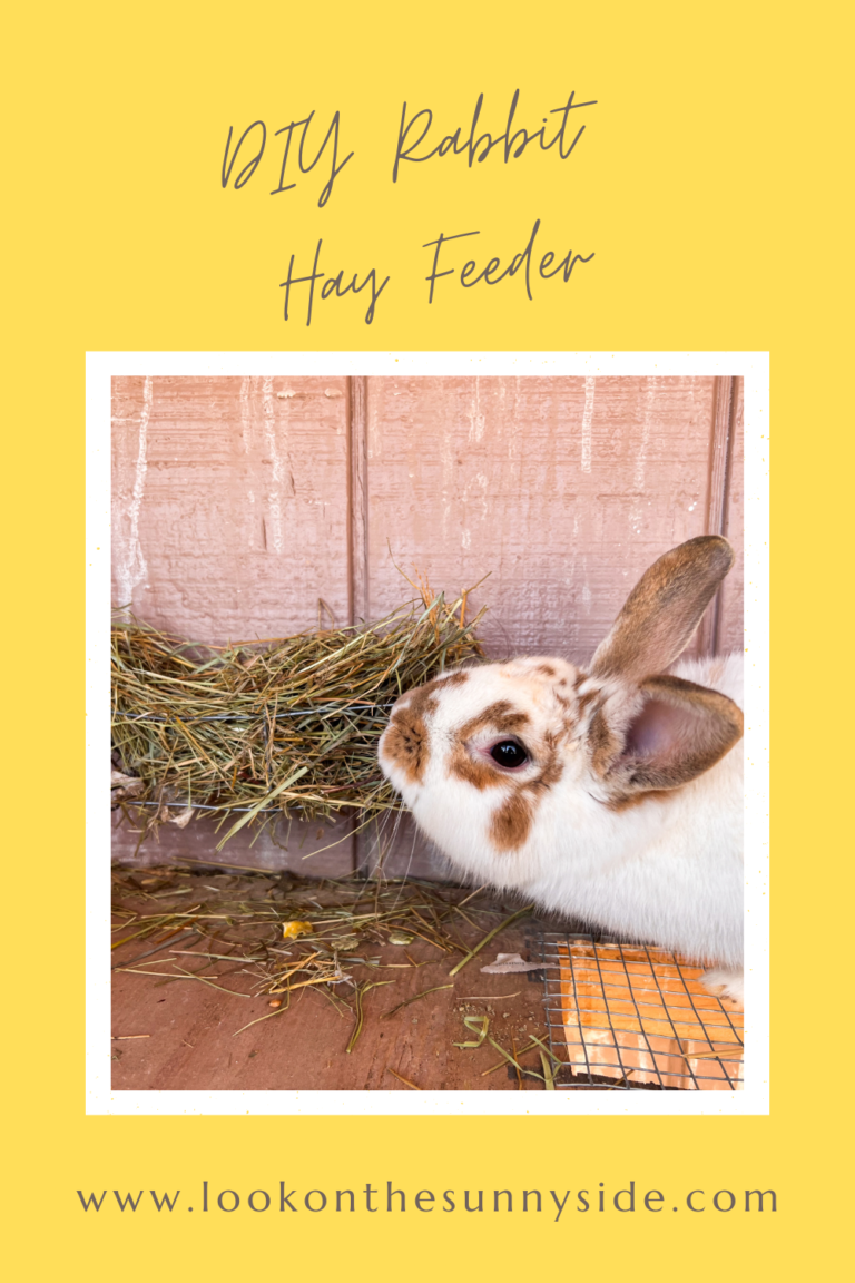 DIY Rabbit Hay Feeder